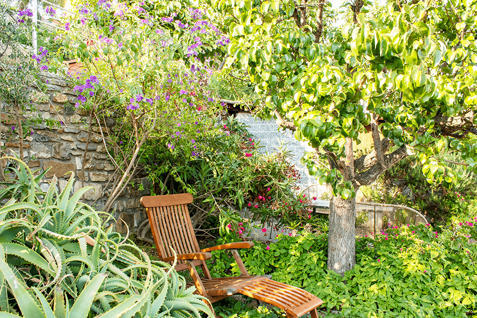 cipressa-giardino